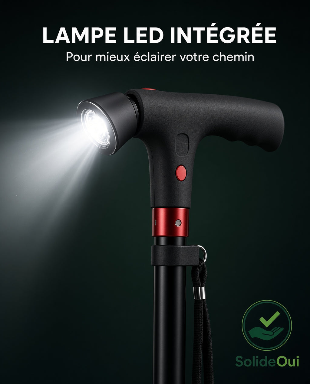 Canne Multifonction SolideOui – Lampe LED, Alarme et Poignée d'appui