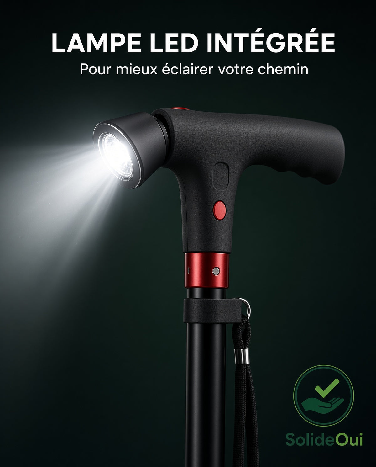 Canne Multifonction SolideOui – Lampe LED, Alarme et Poignée d'appui